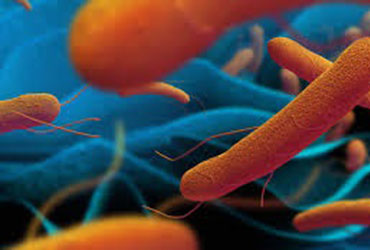 image disease covered
