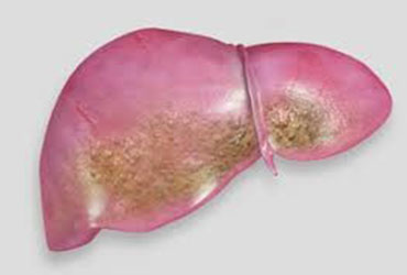 image disease covered